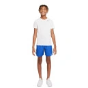 Шорты Nike NK CHALLENGER SHORT DM8550-480