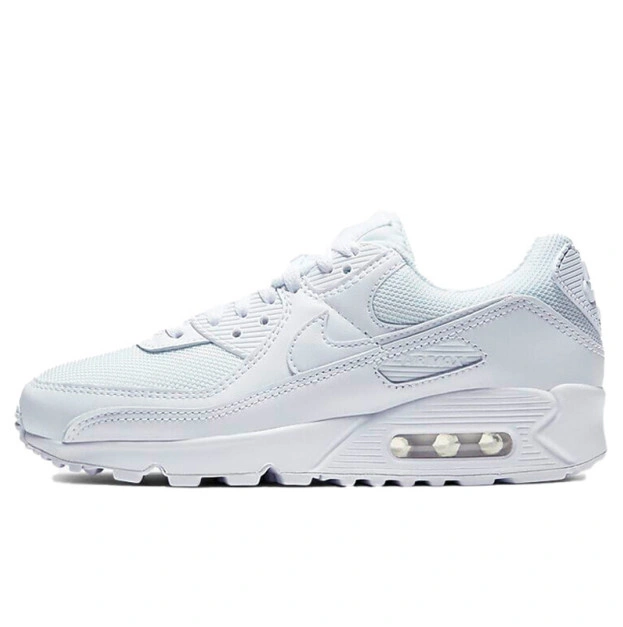 Nike Air Max 90 White CQ2560-100