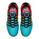 Nike Air VaporMax Plus Bleached Aqua AO4550-002