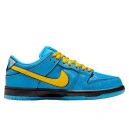 Nike SB Dunk Low Blossom x The Powerpuff Girls Bubbles FZ8320-400