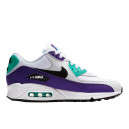Nike Air Max 90 Grape AJ1285-103
