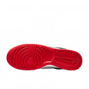 Nike Dunk Low EMB NBA 75th Anniversary Chicago DD3363-100