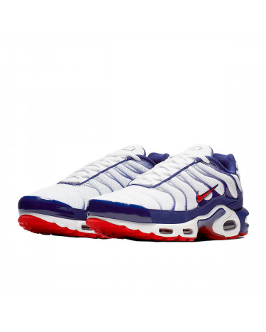 Nike Air Max Plus White Red Blue CJ9928 100 buy with delivery on Sneakers .ua