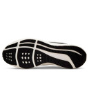 Nike Air Zoom Pegasus 39 Phantom Sail DH4071-004