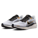 Nike Air Zoom Pegasus 41 Light Smoke Grey Metallic Gold HQ3220-100