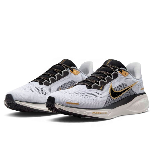 Nike Air Zoom Pegasus 41 Light Smoke Grey Metallic Gold HQ3220-100