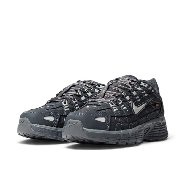 Nike P-6000 Gore-Tex Grey White Termo