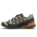 Salomon XA PRO 3D V9 Gore-Tex Natural Black Sugar Almond