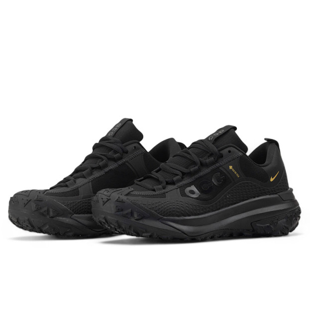 Nike ACG Mountain Fly Gore-Tex Total Black