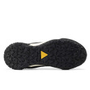 Nike ACG Mountain Fly Low Gore-Tex Black Beige