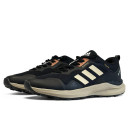 Adidas Terrex Low Gore-Tex Black Beige