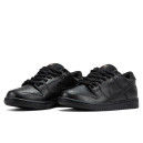 NIke Dunk Low Leather Total Black