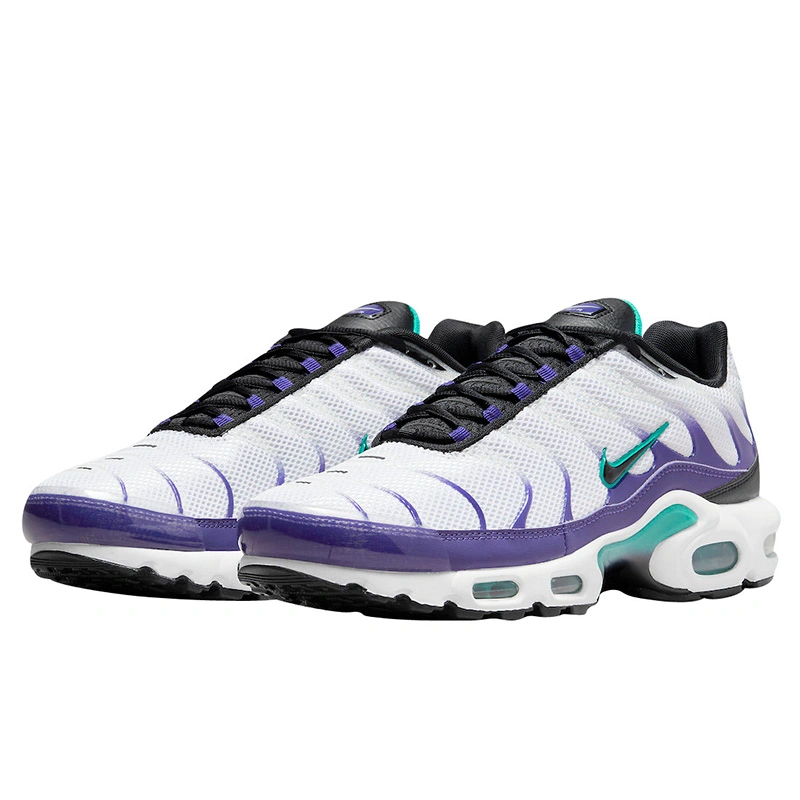 Nike Air Max Plus Grape DM0032 100