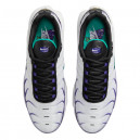 Nike Air Max Plus Grape DM0032-100