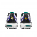 Nike Air Max Plus Grape DM0032-100