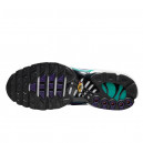 Nike Air Max Plus Grape DM0032-100