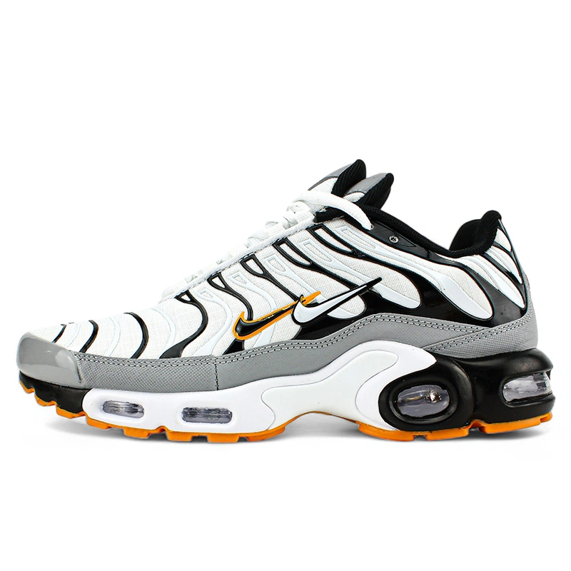Nike Air Max Plus TN Double Swoosh Mean Grey White