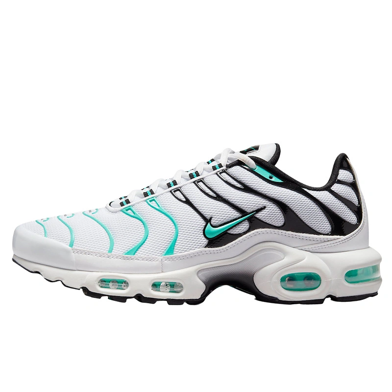 Nike Air Max Plus TN White Mint Black 604133 148