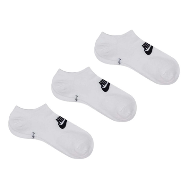 Шкарпетки Nike EVERYDAY ESSENTIAL NS DX5075-100