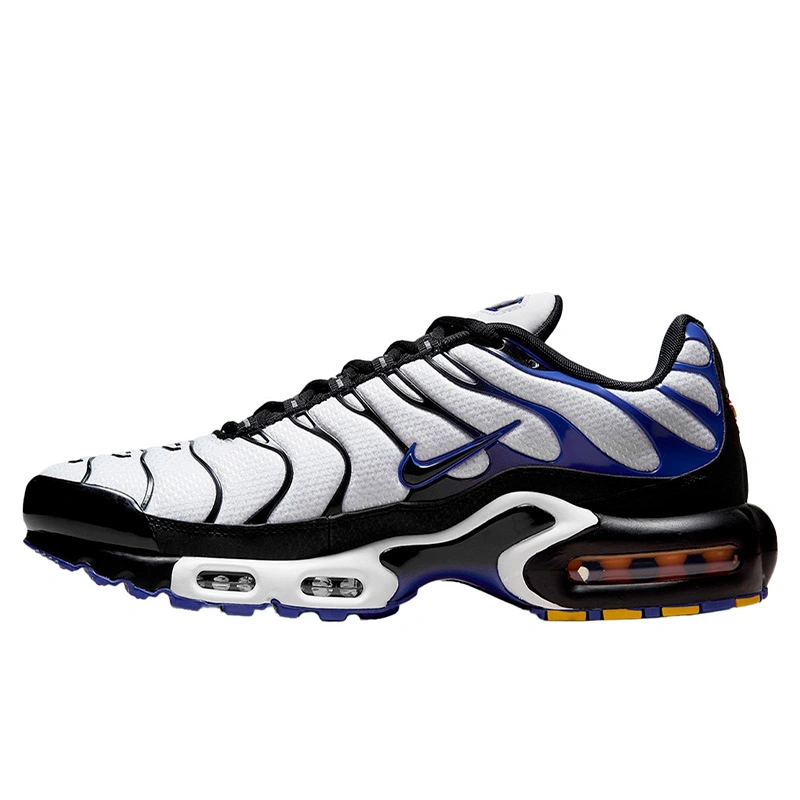 Nike Air Max Plus Persian Violet White DB0682 100