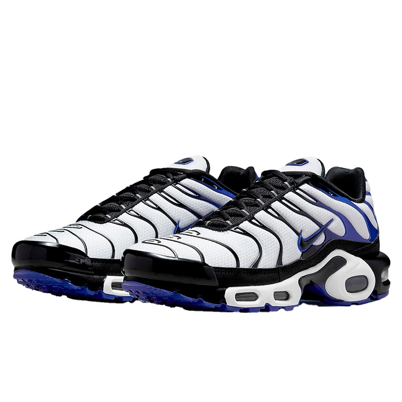 Nike Air Max Plus Persian Violet White DB0682 100