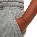 Шорты Nike NSW CLUB + HBR SHORT FT CK0509-091