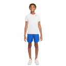 Шорти Nike NK CHALLENGER SHORT DM8550-480