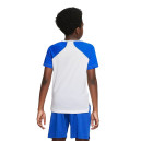 Футболка тренувальна Nike NK DF PERF TOP COLLECTN HBR DM8541-100