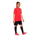 Футболка Nike NK PARK20 SS TEE CZ0909-657