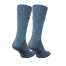 Шкарпетки Puma CLASSIC 2P 90712806