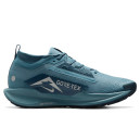 Nike Pegasus Trail 5 Gore-Tex Smokey Blue FQ0908-005