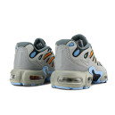 Nike Air Max Plus Drift Light Smoke Grey FD4290-002