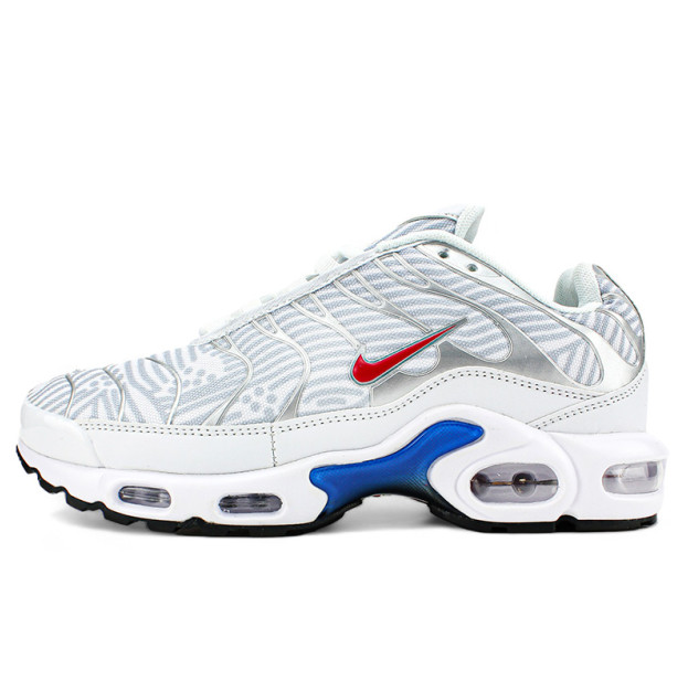 Nike Air Max Plus Euro Tour Particle Grey CW7575-001