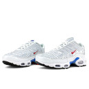 Nike Air Max Plus Euro Tour Particle Grey CW7575-001