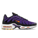 Nike Air Max Plus Voltage Purple DX0755-500