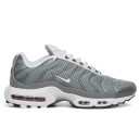 Nike Air Max Plus Flat Pewter White DV7665-002