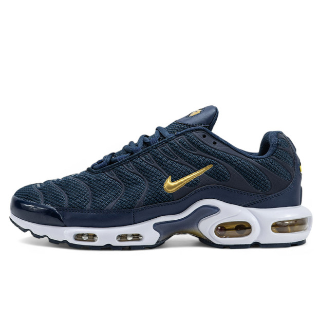 Nike Air Max Plus French Football Federation FB3350-400