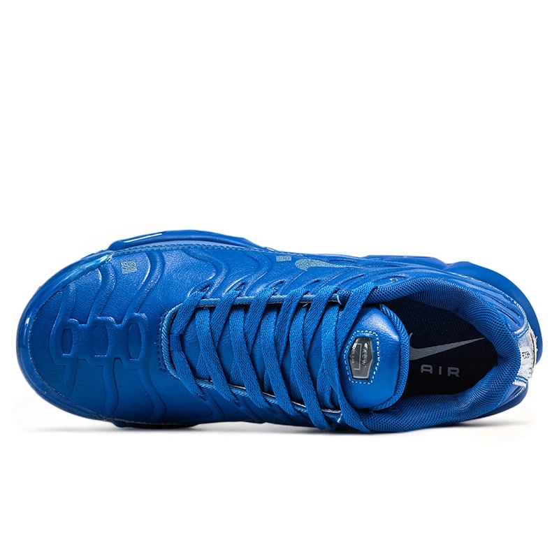 Nike Air Max TN Plus Blue
