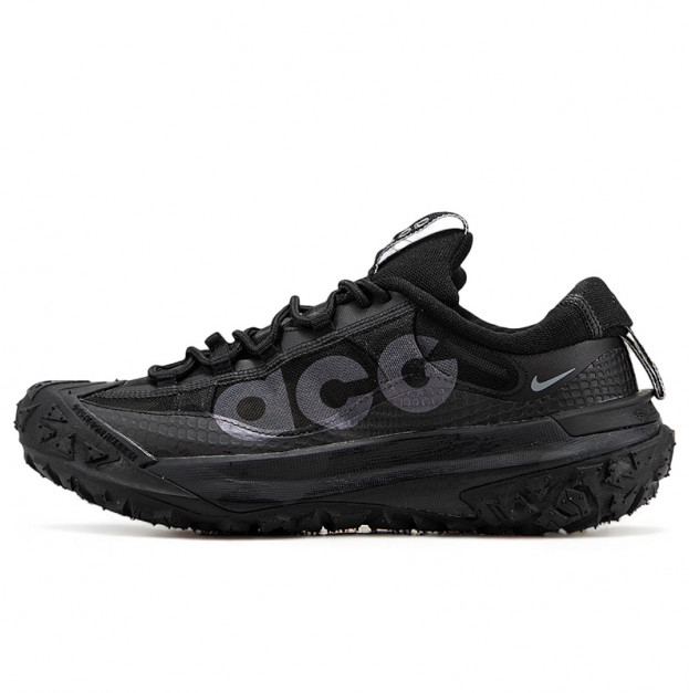 Nike ACG Mountain Fly 2 Gore-Tex Black Grey