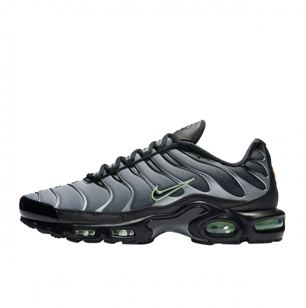 Nike Air Max Plus Black Particle Grey Vapour Green CZ7552-001