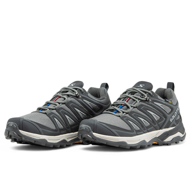 Salomon Speed Cross Pro Gore-Tex Thinsulate Grey Two