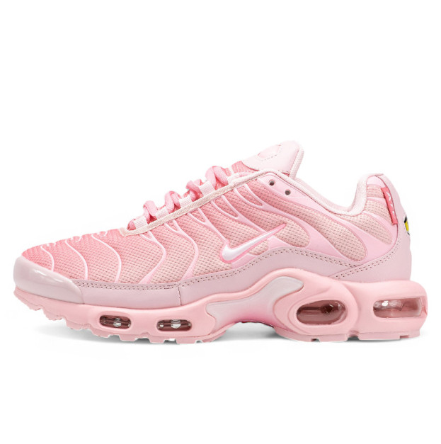 Nike Air Max Plus City Special Atlanta DH0155-600