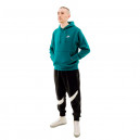 Штани Nike SWOOSH FLC PANT DX0564-013
