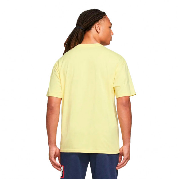 Футболка Nike NK SB TEE SPRING BREAK DX9457-706