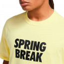 Футболка Nike NK SB TEE SPRING BREAK DX9457-706