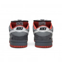 Nike SB Dunk Low x Jeff Staple Pigeon 304292-011