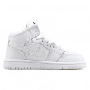 Jordan 1 Retro High PG Triple White
