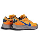 Nike Pegasus Trail 3 Total Orange DA8697-800