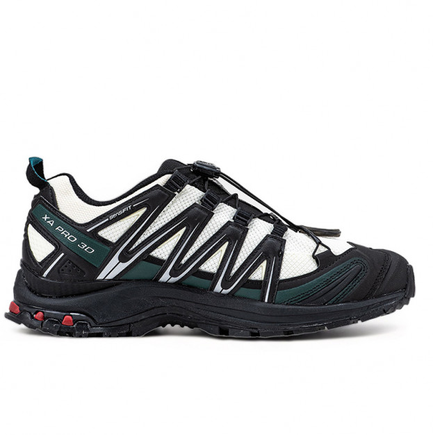 Salomon XA PRO 3D Beige Green Black