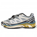 Salomon XT-6 Advanced Dover Silver Beige